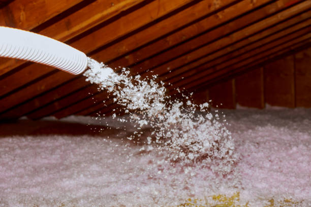 Best Garage Insulation Installation  in Conshohocken, PA