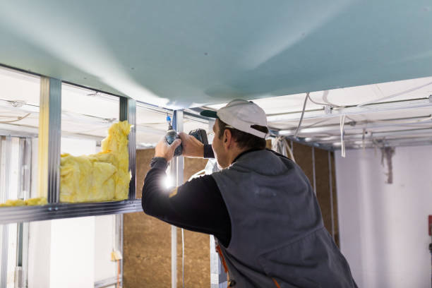 Best Insulation for New Construction  in Conshohocken, PA